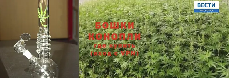 Бошки марихуана SATIVA & INDICA  цены наркотик  Венёв 